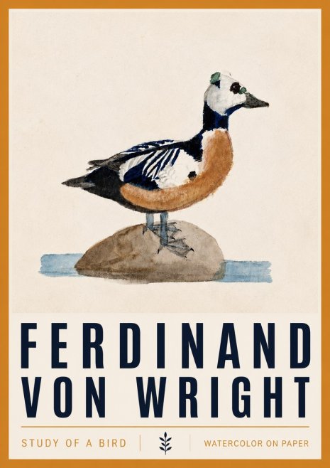 Ferdinand von Wright Study of a Bird No4 - Plakat