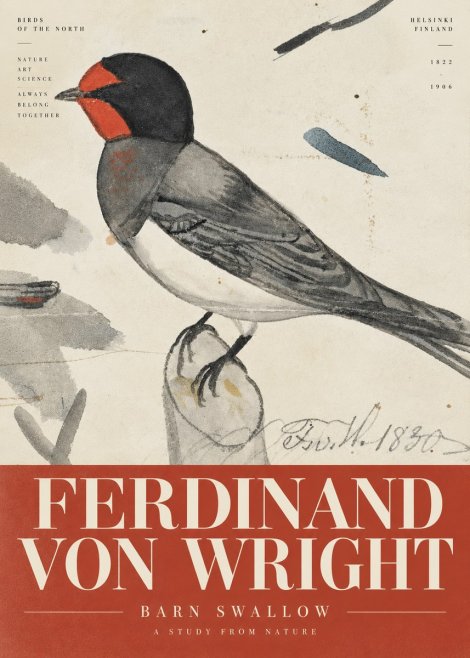 Ferdinand von Wright The Swallow No6 - Plakat