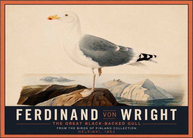 Ferdinand von Wright The Great Black-backed Gull No4 - Plakat