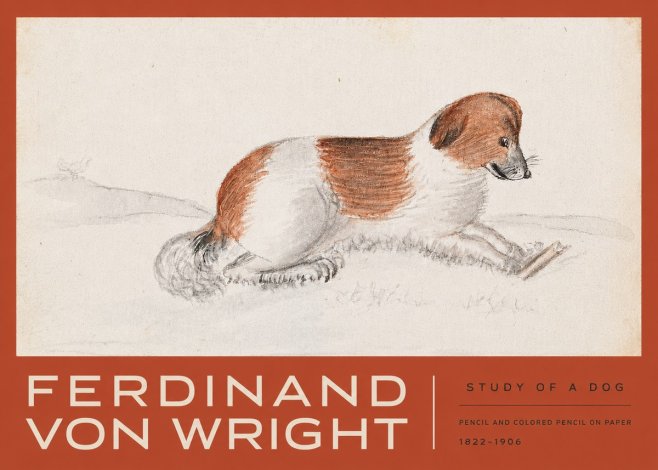 Ferdinand von Wright Study of a Dog No3 - Plakat