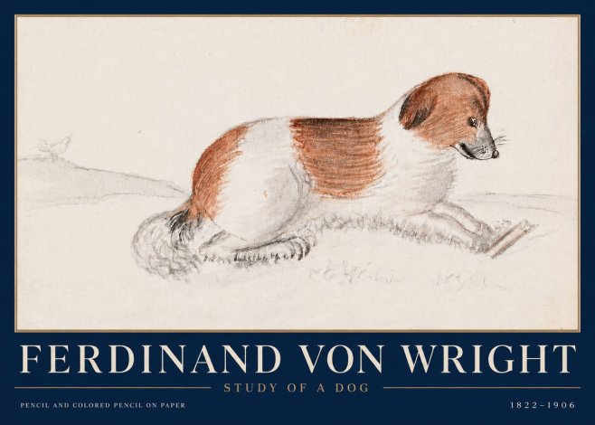 Ferdinand von Wright Study of a Dog No4 - Plakat