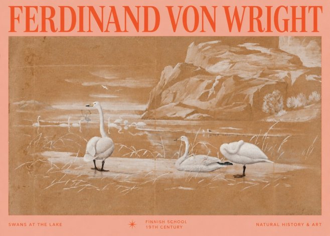 Ferdinand von Wright Swans at the Lake No2 - Plakat