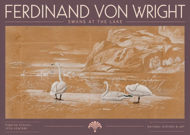 Ferdinand von Wright Swans at the Lake No5 - Plakat