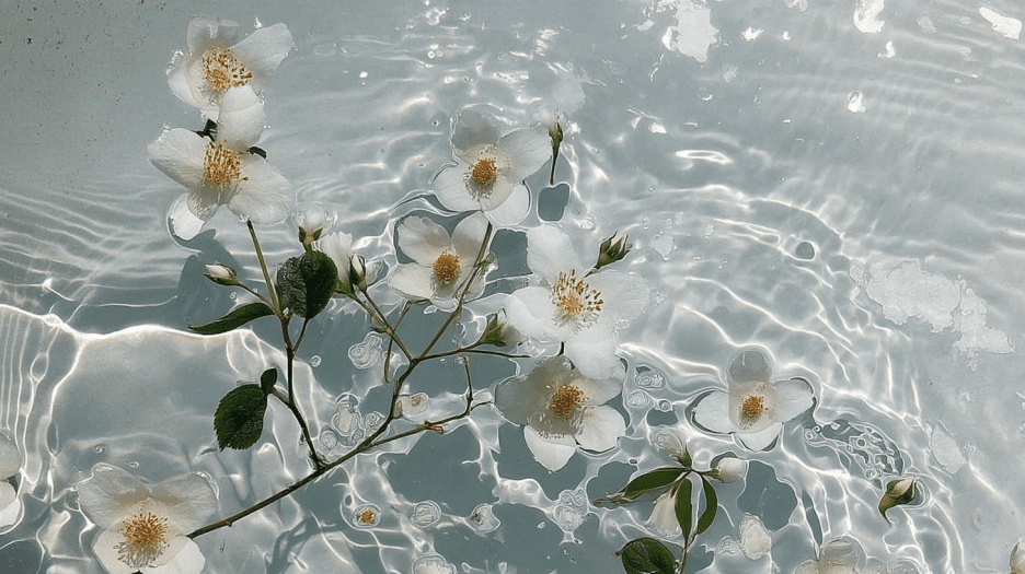 Rippled Water Bloom