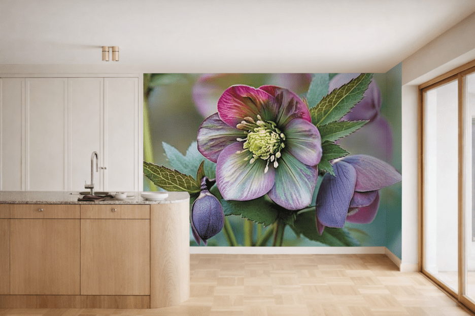 Silken Petal Whisper