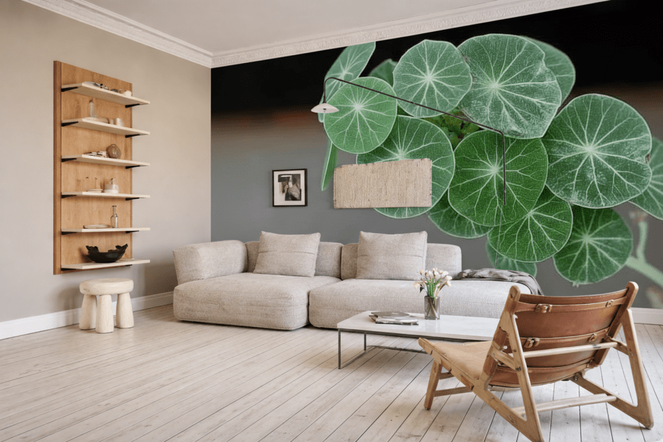 Vein Patterned Leaves