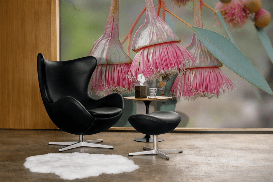 Coral Blossom Whisper