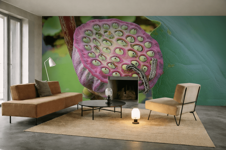 Lotus Seed Harmony