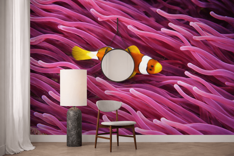 Coral Reef Enchantment