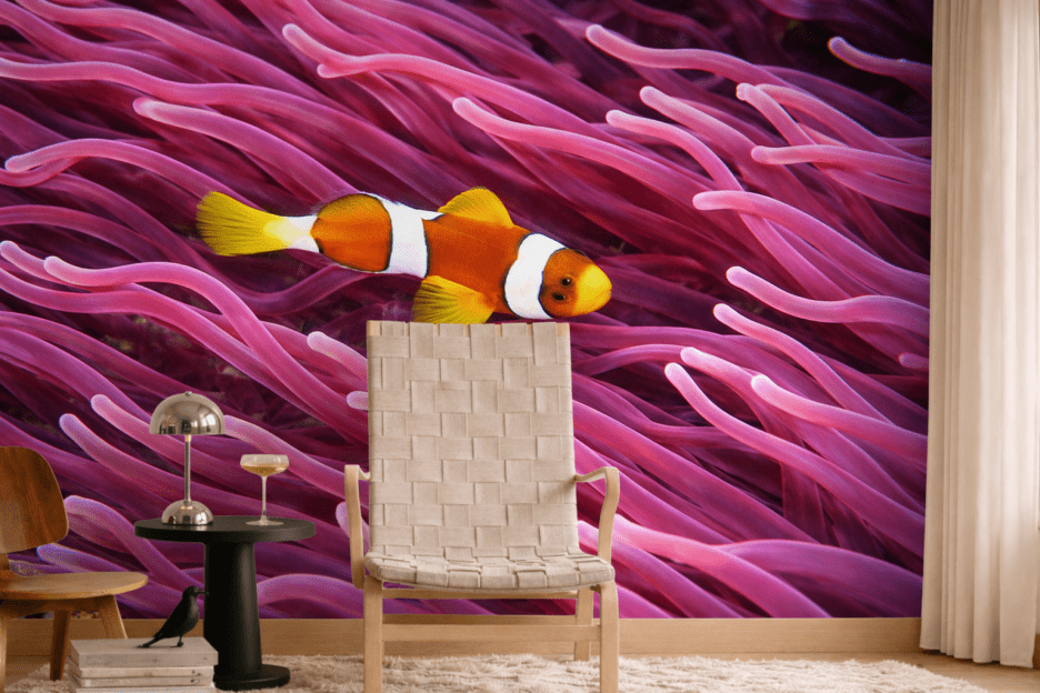 Coral Reef Enchantment