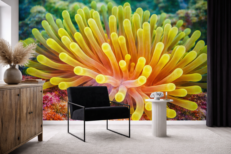 Amber Anemone Garden
