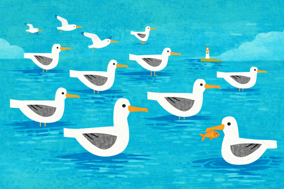 Saltwater Silhouettes