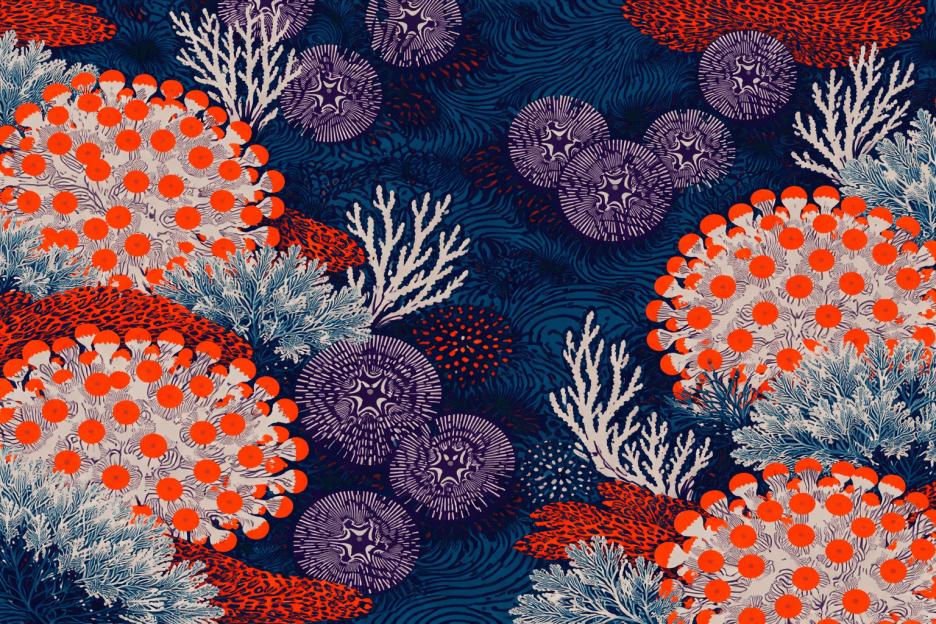 Coral Symphony Ii