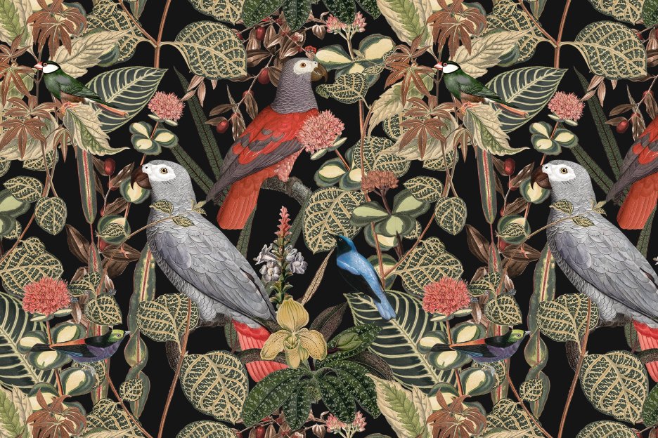 Tropical Avian Mosaic