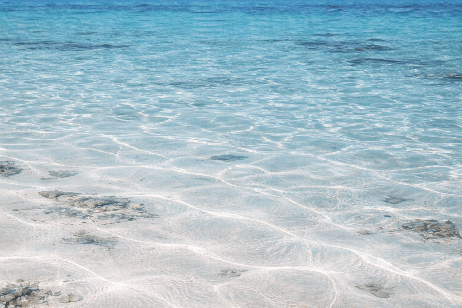 Lucent Shallows