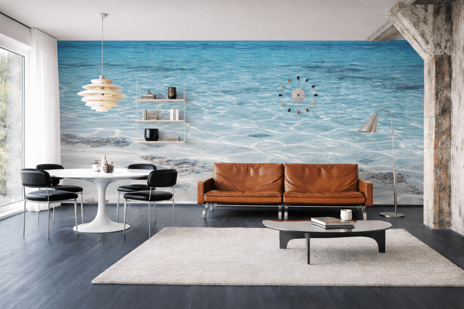 Lucent Shallows