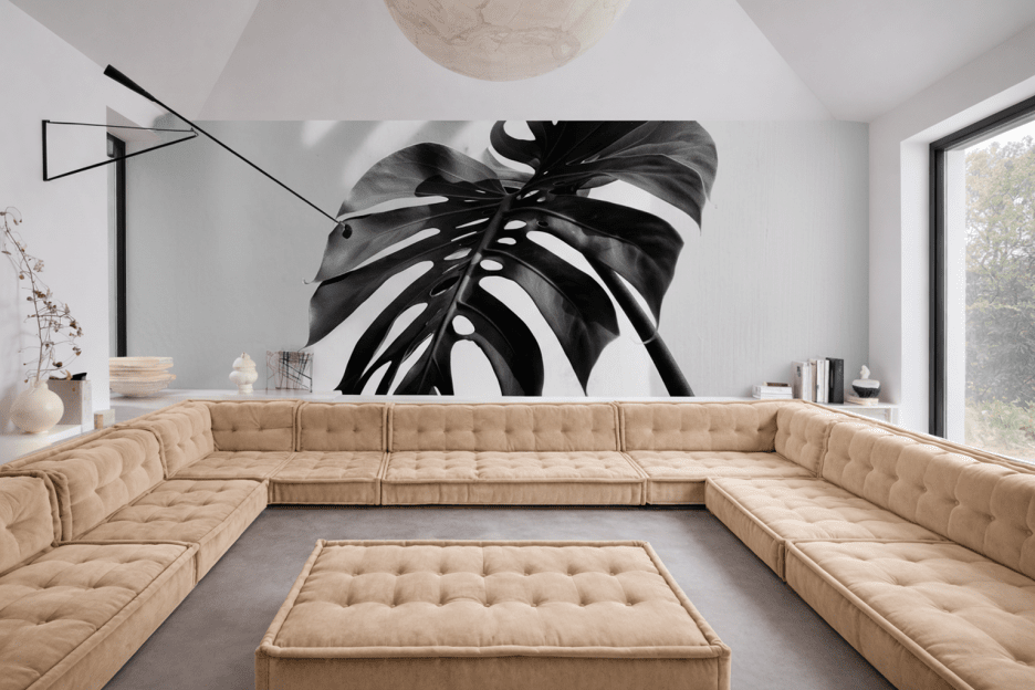 Monstera Shadow Ii