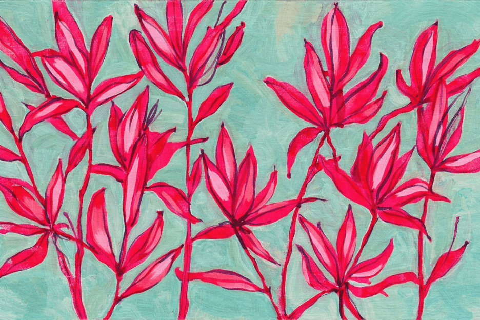 Crimson Tropics Burst