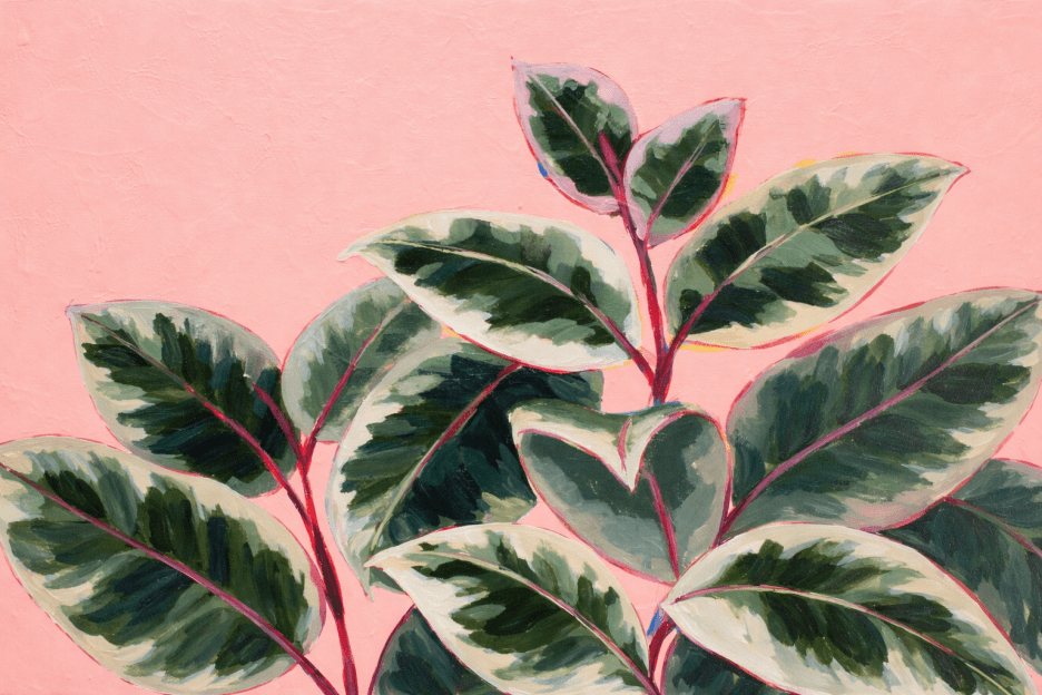Tropical Canopy Iii