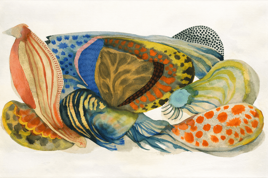 Marine Quartz Layers