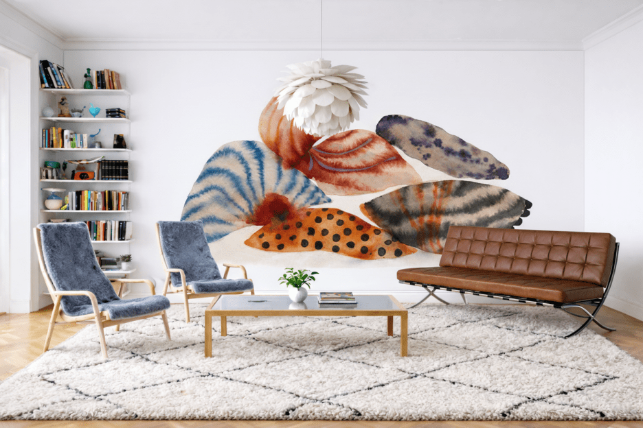 Shell Collection