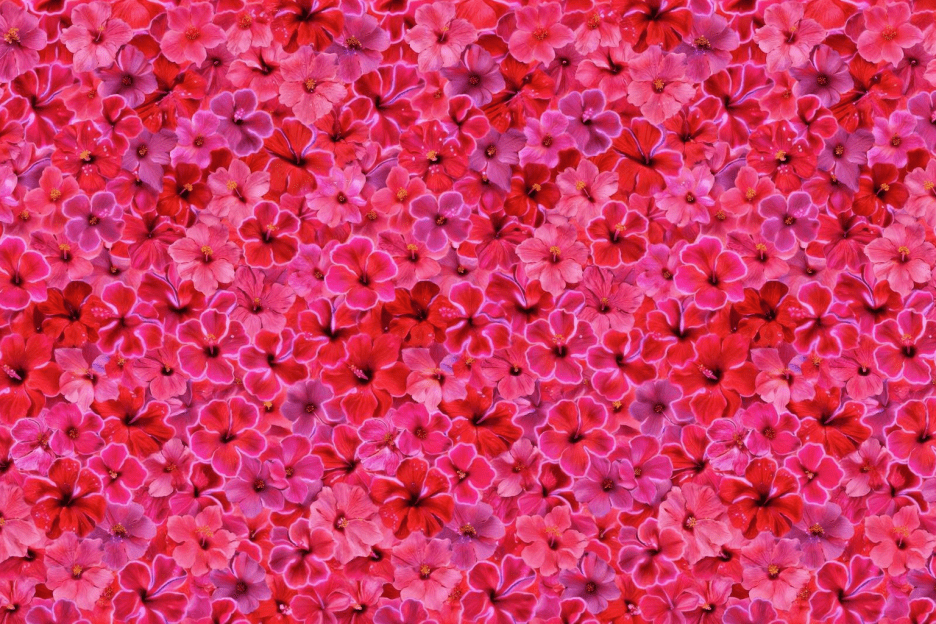 Saffron Petal Tapestry