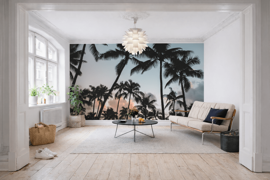 Palm Halo