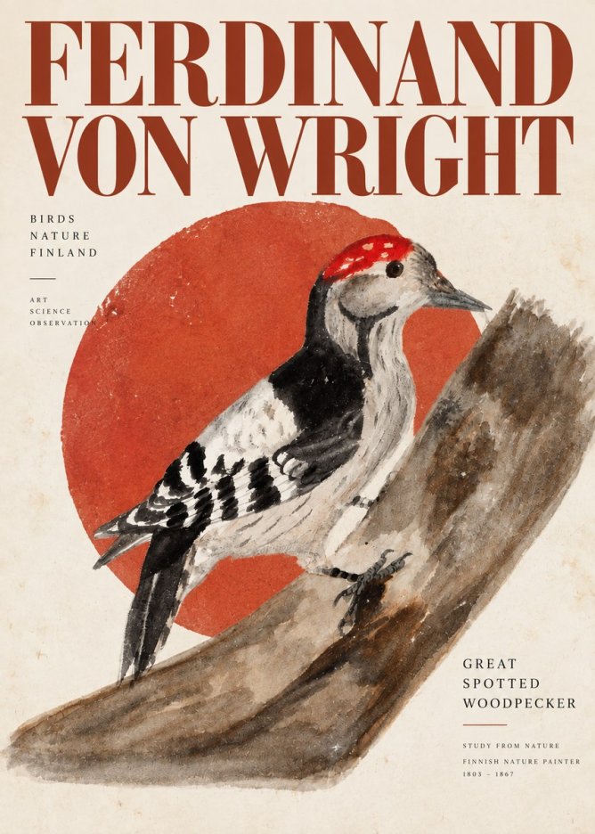 Ferdinand von Wright Woodpecker Study No6 - Plakat