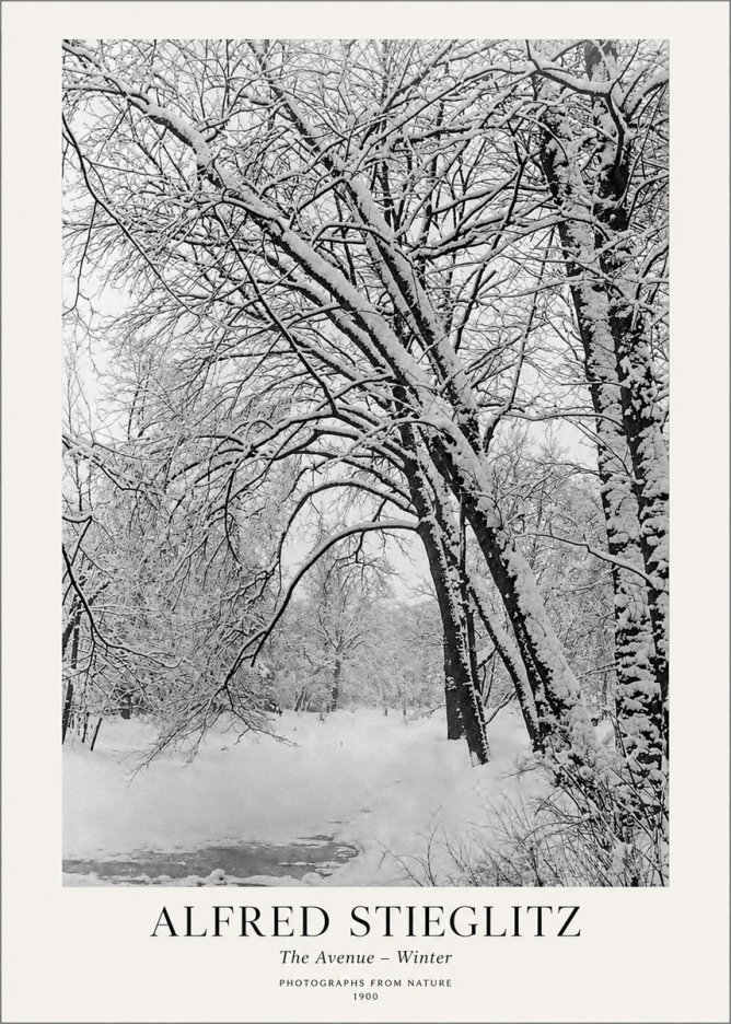 Alfred Stieglitz The Avenue – Winter No1 - Plakat