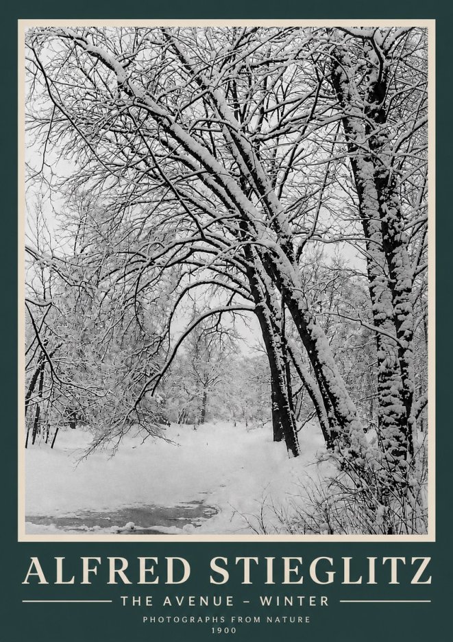 Alfred Stieglitz The Avenue – Winter No3 - Plakat