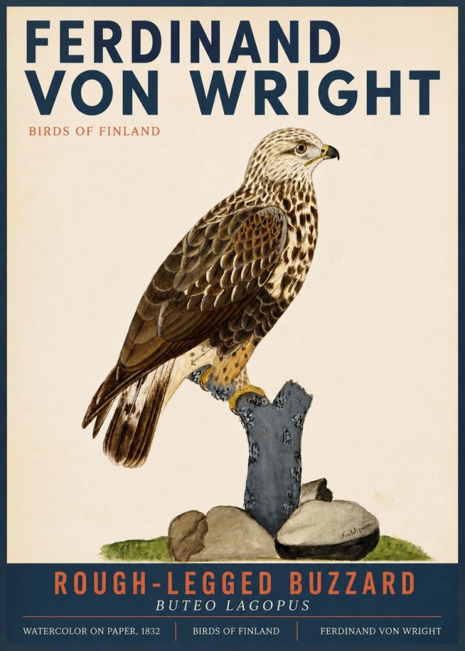 Ferdinand von Wright Rough-legged Buzzard No3 - Plakat