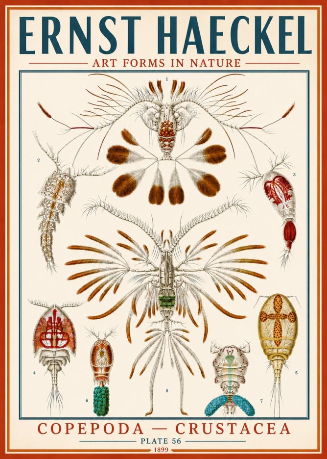 Ernst Haeckel Copepoda — Crustacea Plate 56 No5 - Plakat