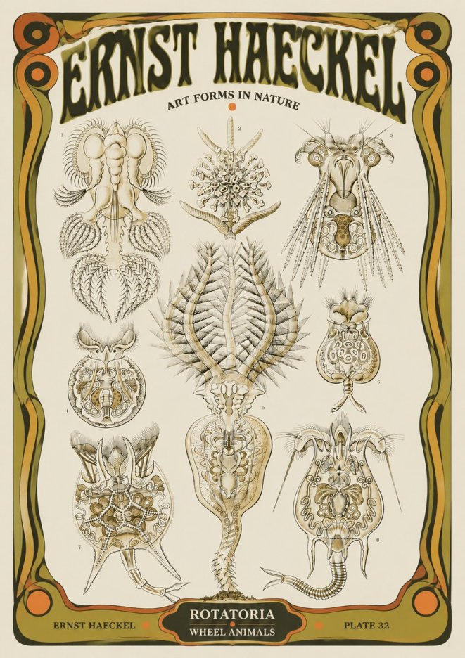 Ernst Haeckel Rotatoria - Wheel Animals No5 - Plakat