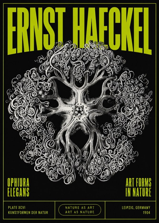 Ernst Haeckel Ophiuroidea Sea Tree - Deep Sea No5 - Plakat