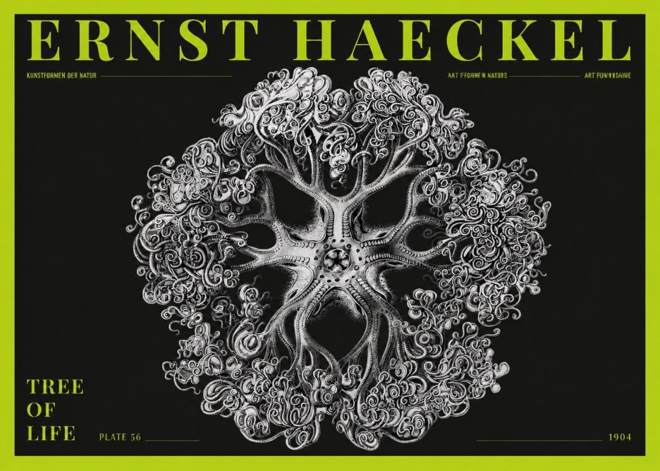 Ernst Haeckel Tree-like Organism No5 - Plakat