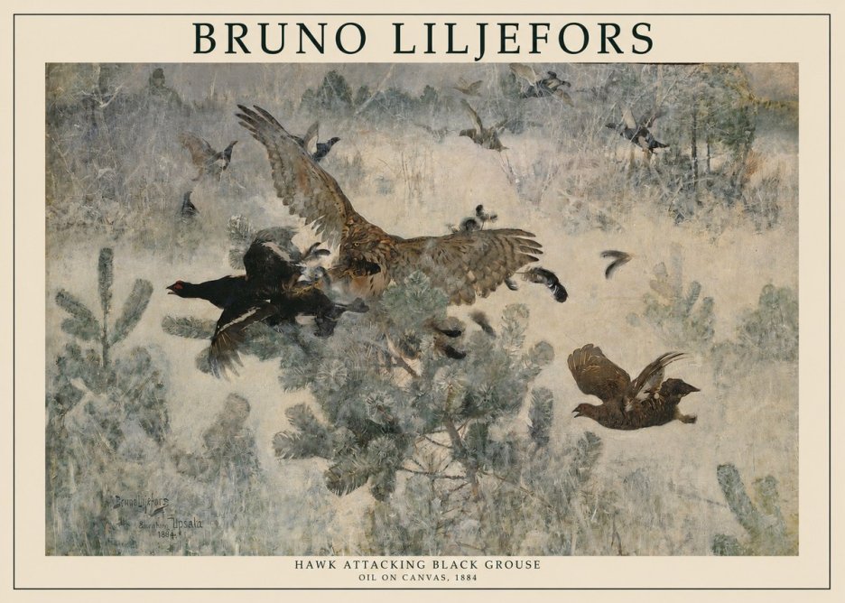 Bruno Liljefors Hawk Attacking Black Grouse No1 - Plakat