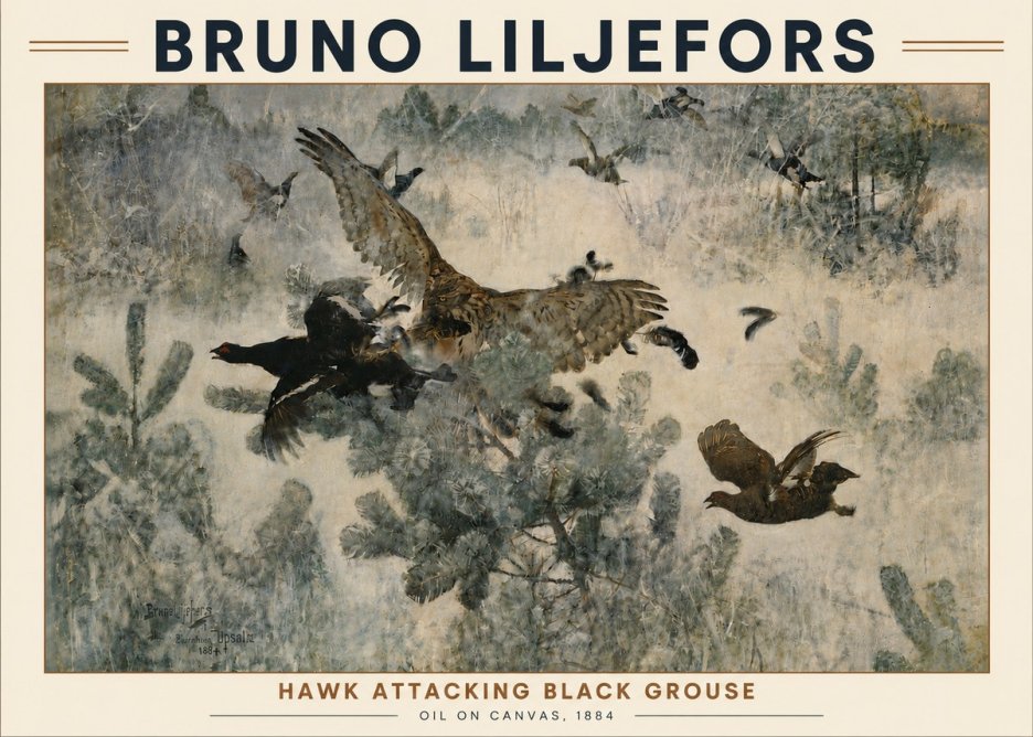 Bruno Liljefors Hawk Attacking Black Grouse No5 - Plakat
