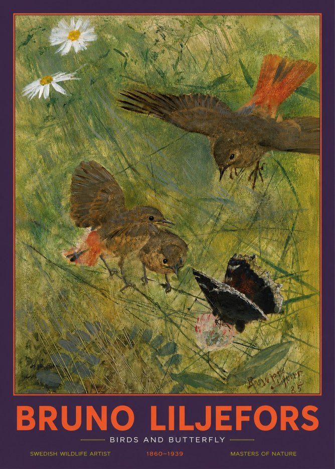 Bruno Liljefors Birds and Butterfly No2 - Plakat