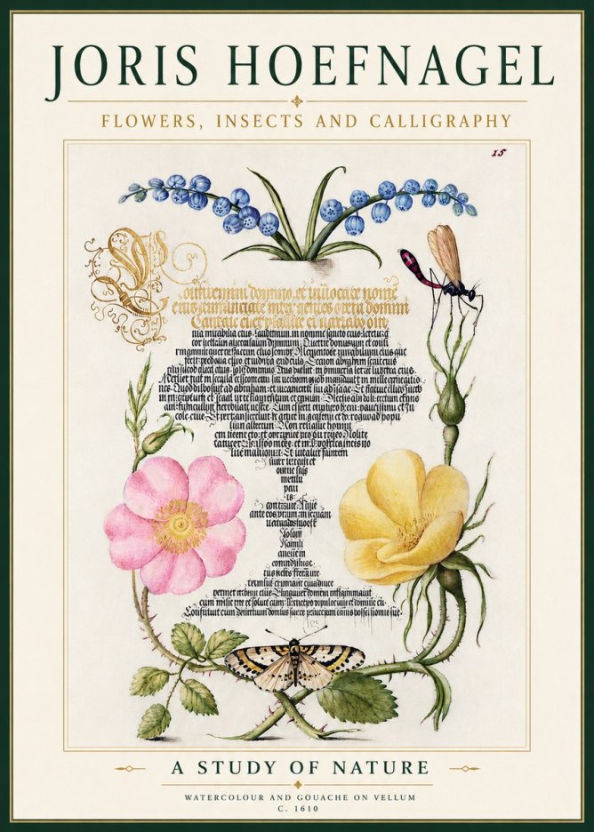 Joris Hoefnagel A Study of Nature I No4 - Plakat
