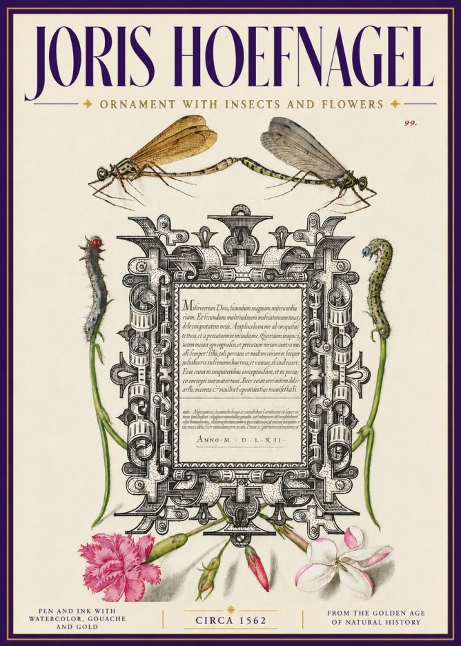 Joris Hoefnagel Ornamental Frame with Damselflies, Caterpillars and Flowers No6 - Plakat