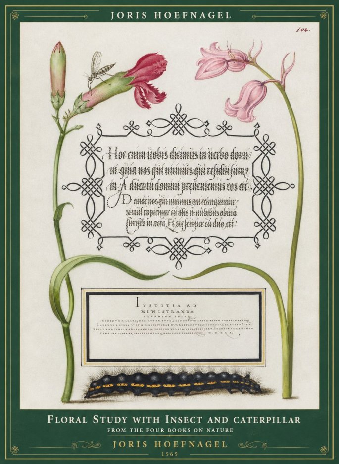 Joris Hoefnagel Floral Study with Insect and Caterpillar No1 - Plakat