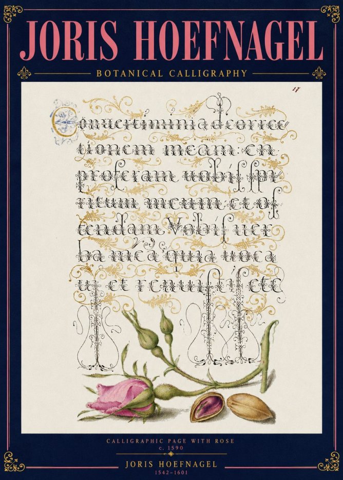 Joris Hoefnagel Calligraphic Page with Rose No4 - Plakat