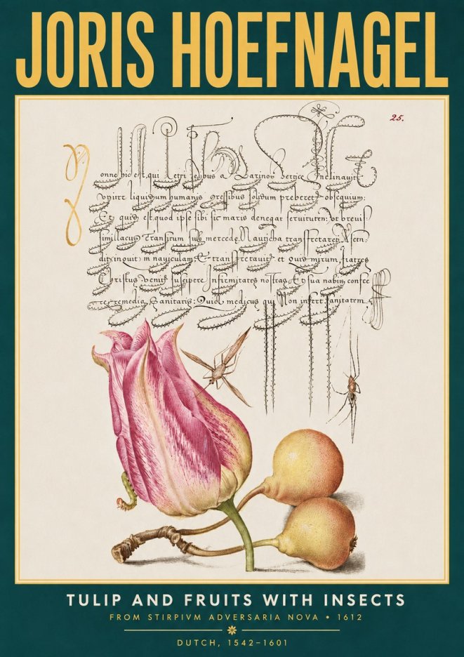 Joris Hoefnagel Tulip and Fruits with Insects No3 - Plakat