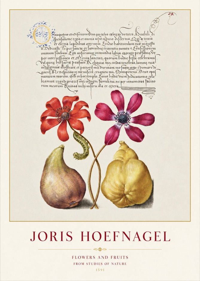 Joris Hoefnagel Flowers and Fruits No1 - Plakat