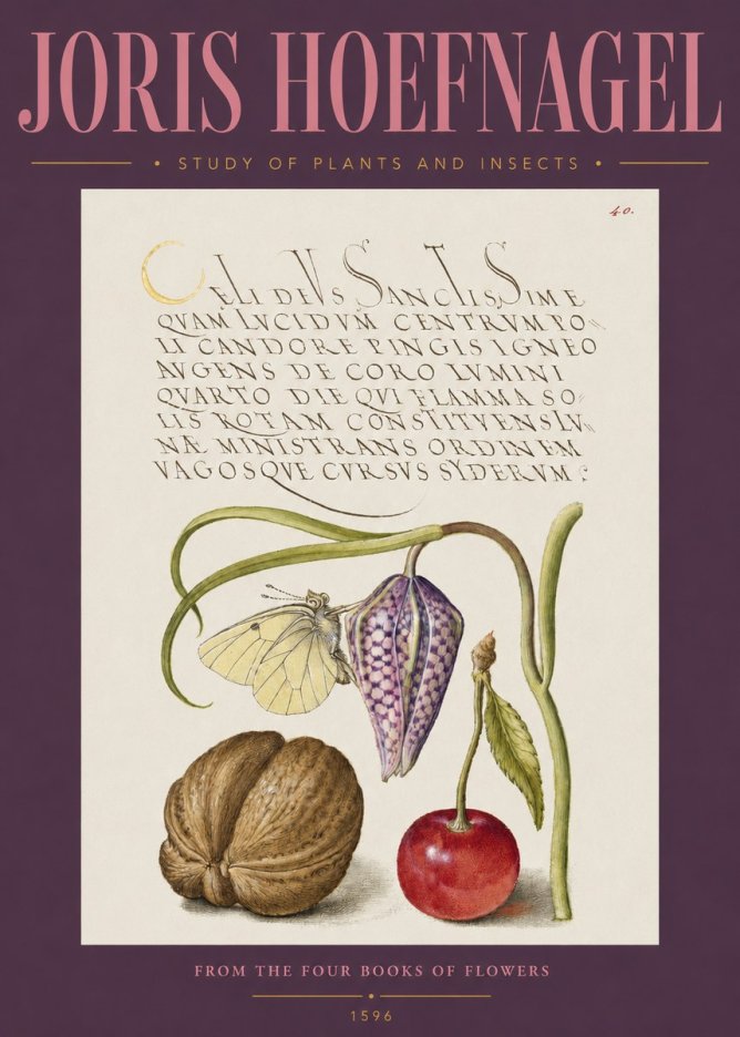 Joris Hoefnagel Study of Plants and Insects No2 - Plakat