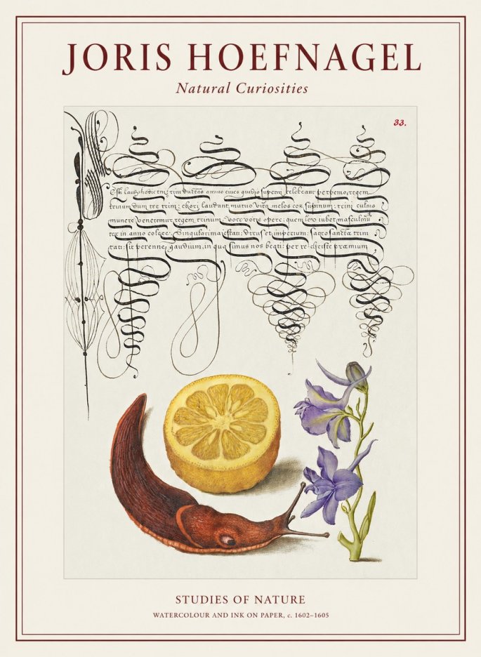 Joris Hoefnagel Studies of Nature No1 - Plakat