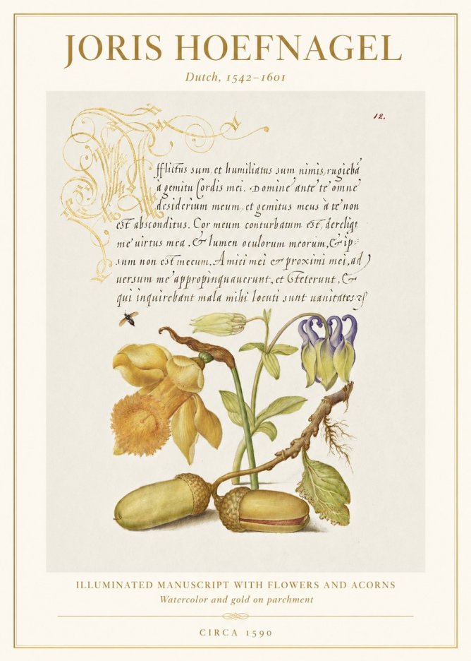 Joris Hoefnagel Illuminated Manuscript with Flowers and Acorns No1 - Plakat