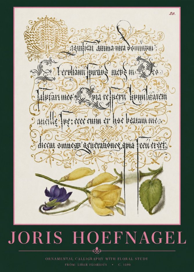 Joris Hoefnagel Ornamental Calligraphy with Floral Study No2 - Plakat