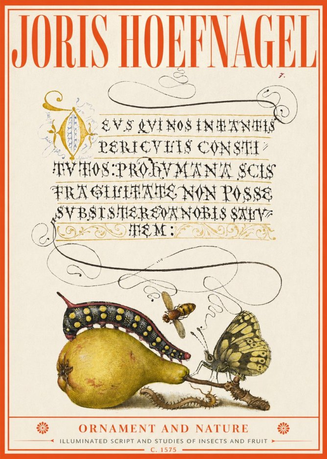 Joris Hoefnagel Ornament and Nature - Illuminated Script and Studies of Insects and Fruit No2 - Plakat