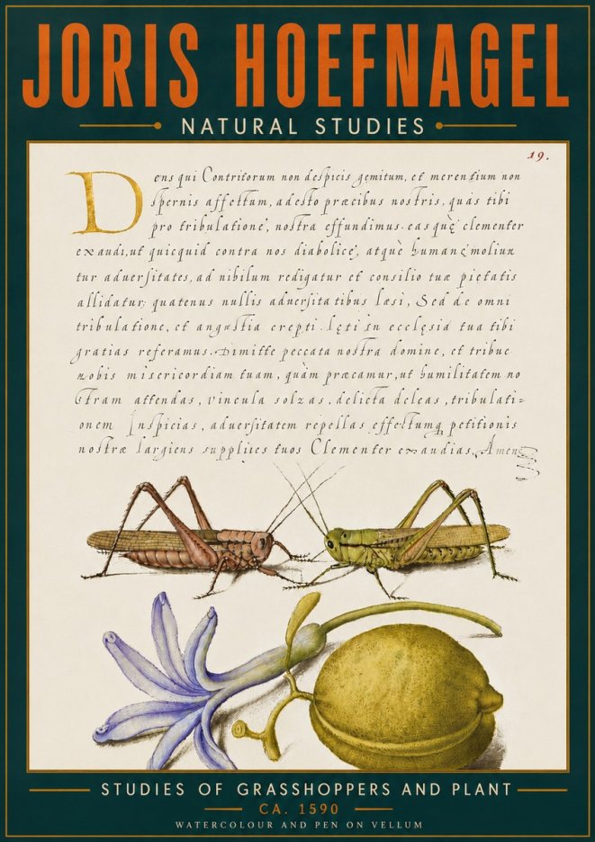Joris Hoefnagel Studies of Grasshoppers and Plant No6 - Plakat